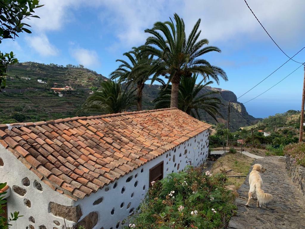 Casa Rural Emilia Villa Agulo Kültér fotó